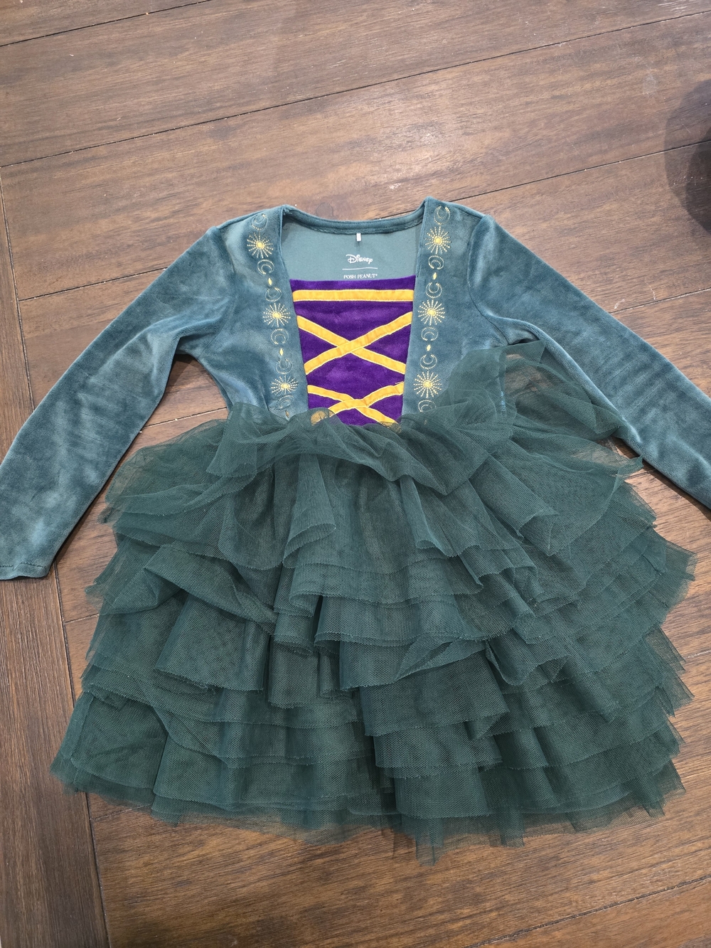 Disney Green Velvet & Tulle Ruffled Princess Costume Dress